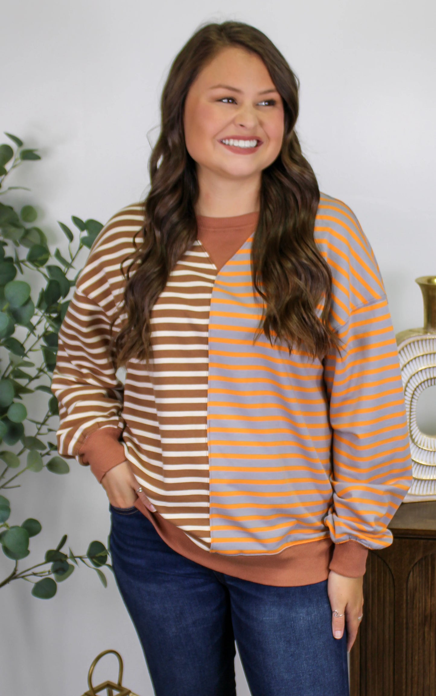 Brown Striped Colorblock Sweatshirt